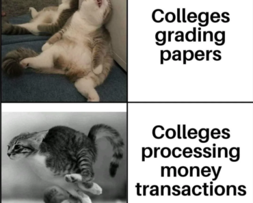 13 Funny Study Memes We All Can Relate To