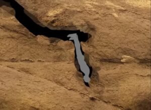 31 Things You Can’t Believe You Can Die From