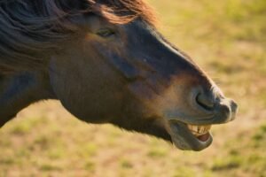 13 Everyday Idioms That Make No Sense Until You Find Out Where They Come From